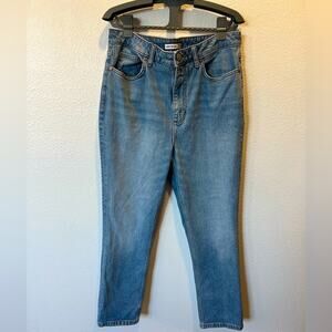 Elizabeth and James the vintage straight jeans size 32